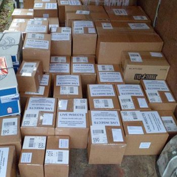 Daily trade orders dispatched by courier. Daily trade orders dispatched by courier.