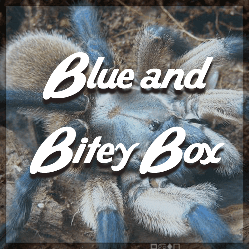 Blue and Bitey Box