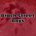 Brach Street Boys