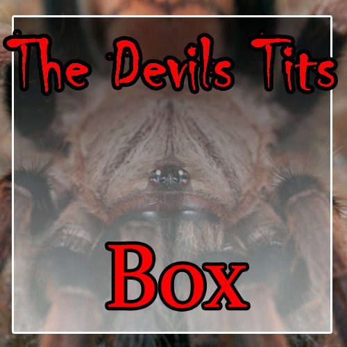 The Devils Tits