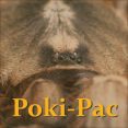 Poki-Pack
