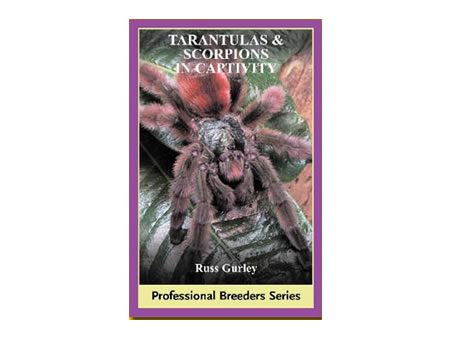 Tarantulas & Scorpions in Captivity