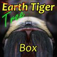 Tree Tiger Box