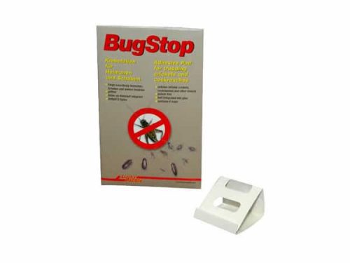 Bug Stop Cricket Trap