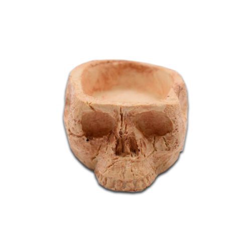Human Skull Bowl