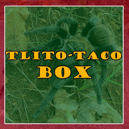 Tlito-Taco Box